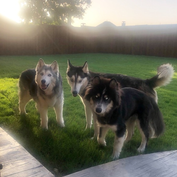 Meet your Posher, Vicki - Picture 10 of 16